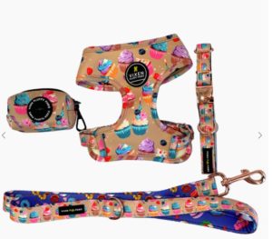 Sugar Rush Harness Bundle